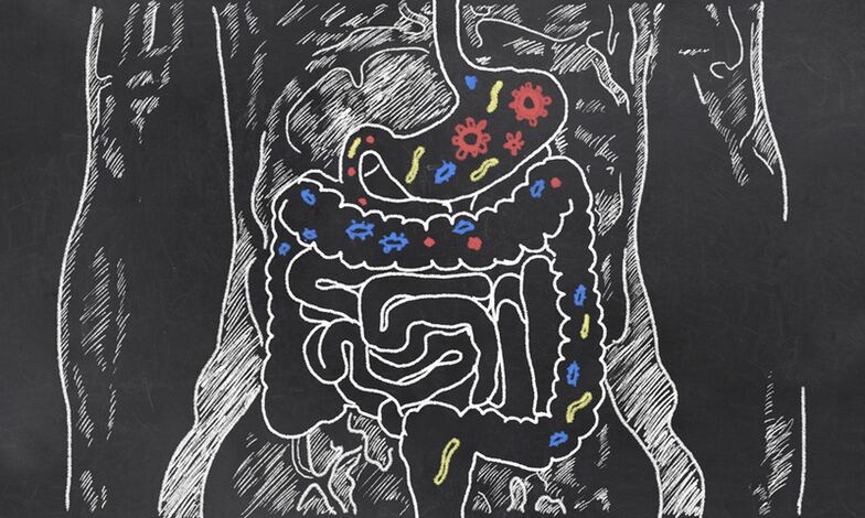 Parásitos na área gastrointestinal dunha persoa