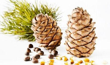 Tuercas de cedro para eliminar os parásitos do corpo
